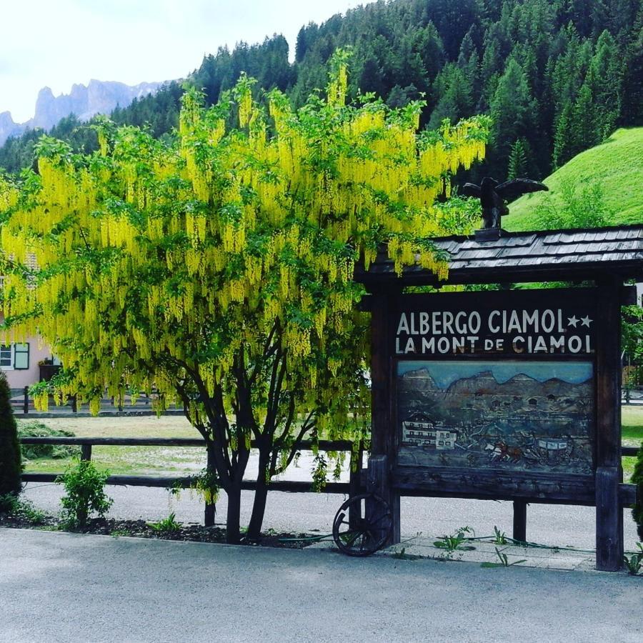 Hotel Ciamol Campitello di Fassa Εξωτερικό φωτογραφία
