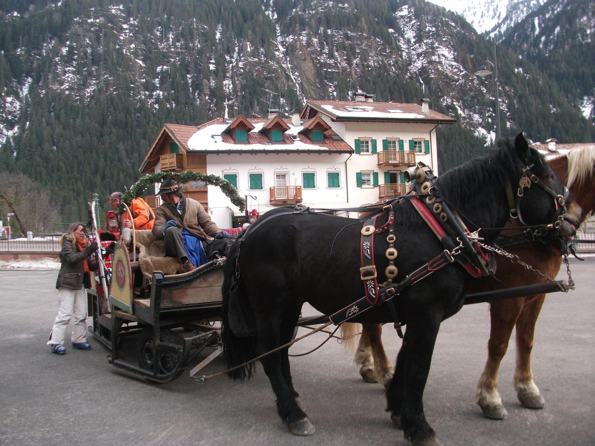 Hotel Ciamol Campitello di Fassa Εξωτερικό φωτογραφία